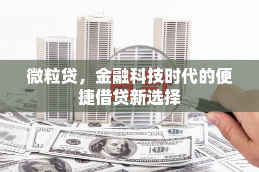 东兴微粒贷，金融科技时代的便捷借贷新选择