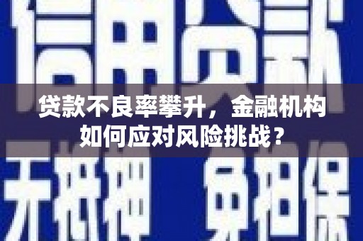 东兴贷款不良率攀升，金融机构如何应对风险挑战？