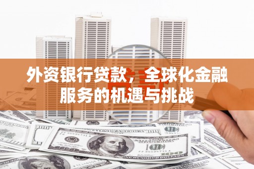 东兴外资银行贷款，全球化金融服务的机遇与挑战