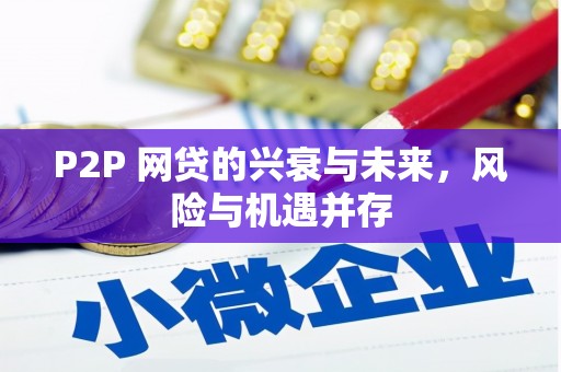 东兴P2P 网贷的兴衰与未来，风险与机遇并存