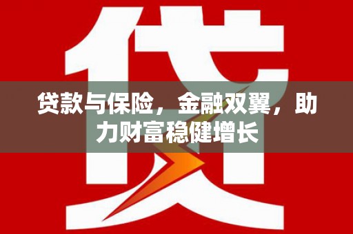 东兴贷款与保险，金融双翼，助力财富稳健增长