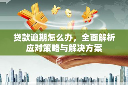 东兴贷款逾期怎么办，全面解析应对策略与解决方案