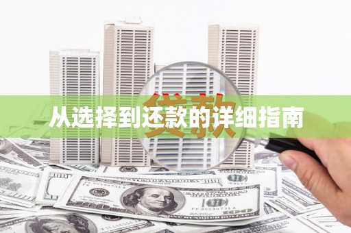 东兴从选择到还款的详细指南