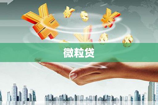 东兴微粒贷
