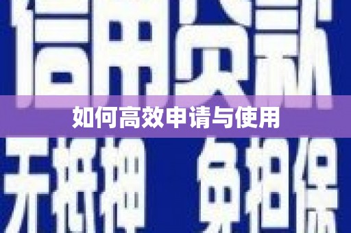 东兴如何高效申请与使用