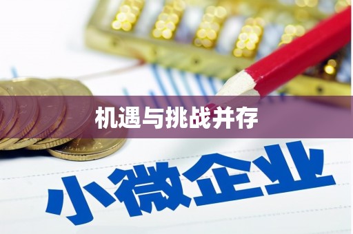 东兴机遇与挑战并存