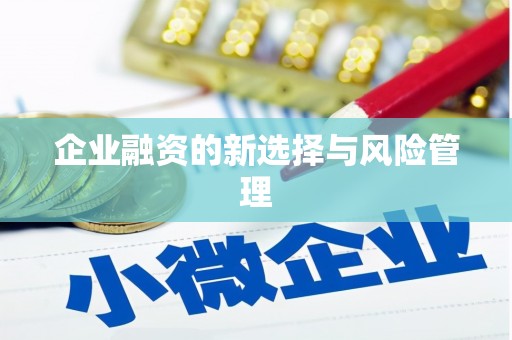 东兴企业融资的新选择与风险管理