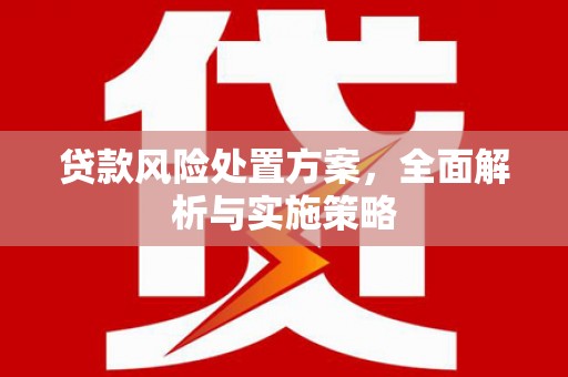 东兴贷款风险处置方案，全面解析与实施策略
