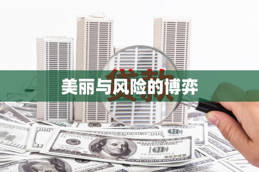 东兴美丽与风险的博弈