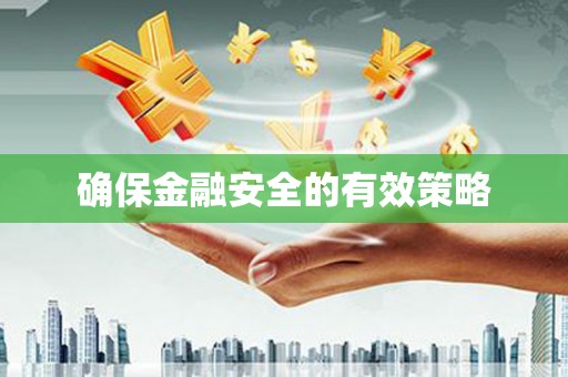 东兴确保金融安全的有效策略