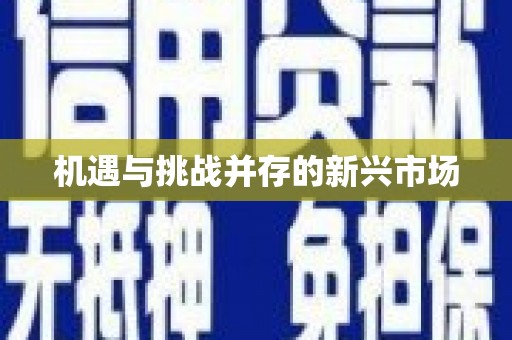 东兴机遇与挑战并存的新兴市场