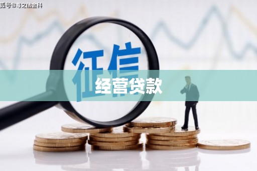 东兴经营贷款
