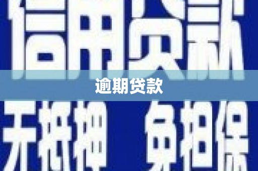 东兴逾期贷款