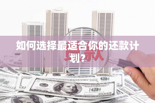 东兴如何选择最适合你的还款计划？