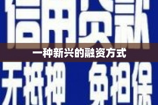 东兴一种新兴的融资方式