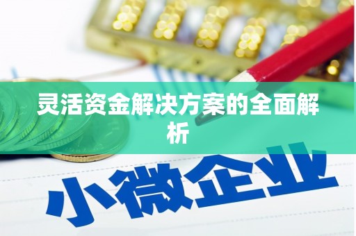 东兴灵活资金解决方案的全面解析