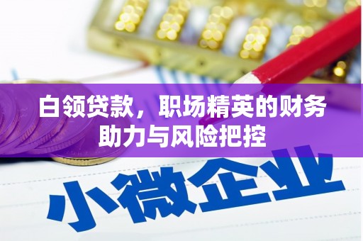 东兴白领贷款，职场精英的财务助力与风险把控