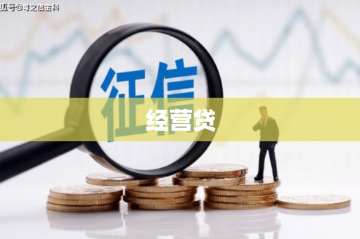 东兴经营贷