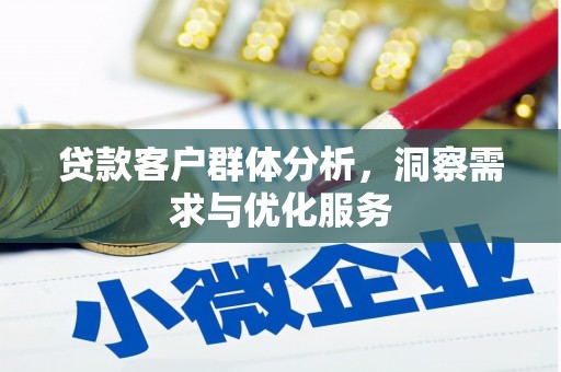 东兴贷款客户群体分析，洞察需求与优化服务