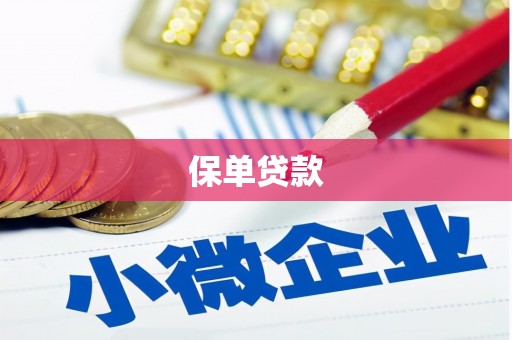 东兴保单贷款